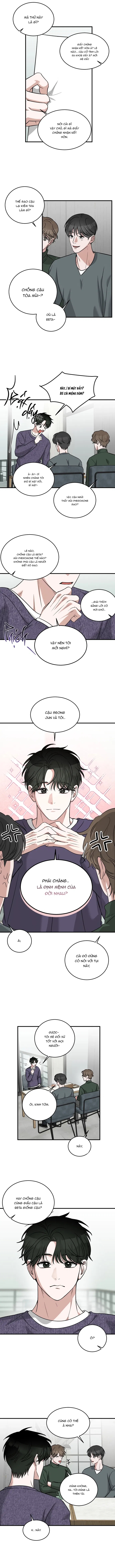 tôi không phải beta đâu nhé! chapter 3 8