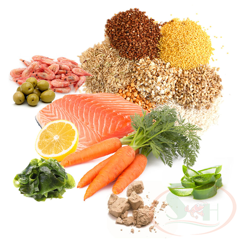 Thức ăn cá Prodac Stick On viên dán thành kính bể cá tép thủy sinh fish food
