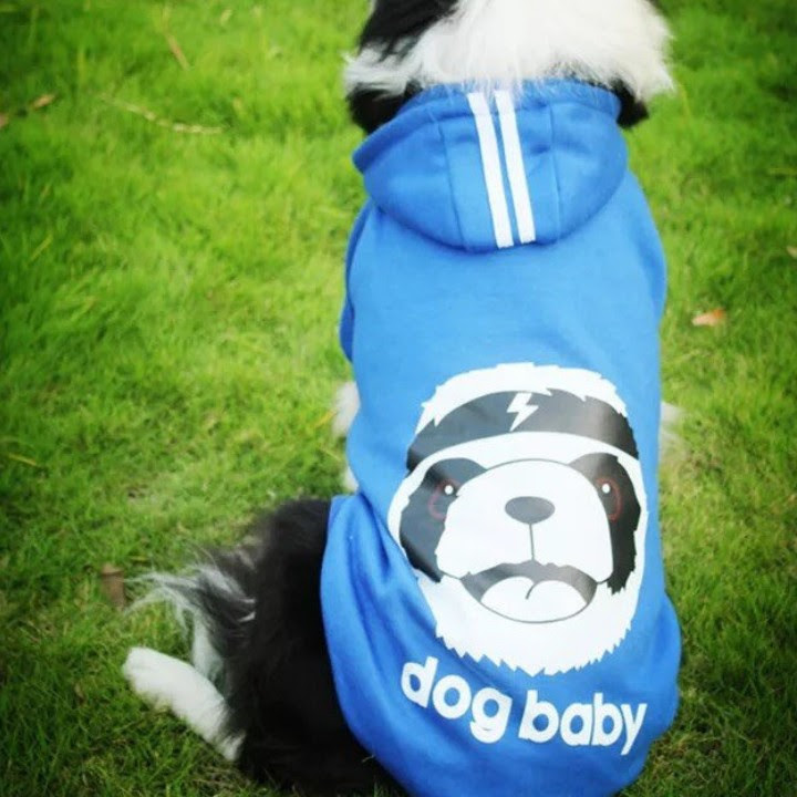 ÁO HOODIE CHO CHÓ DOG BABY CHO CHÓ LỚN - SP000611