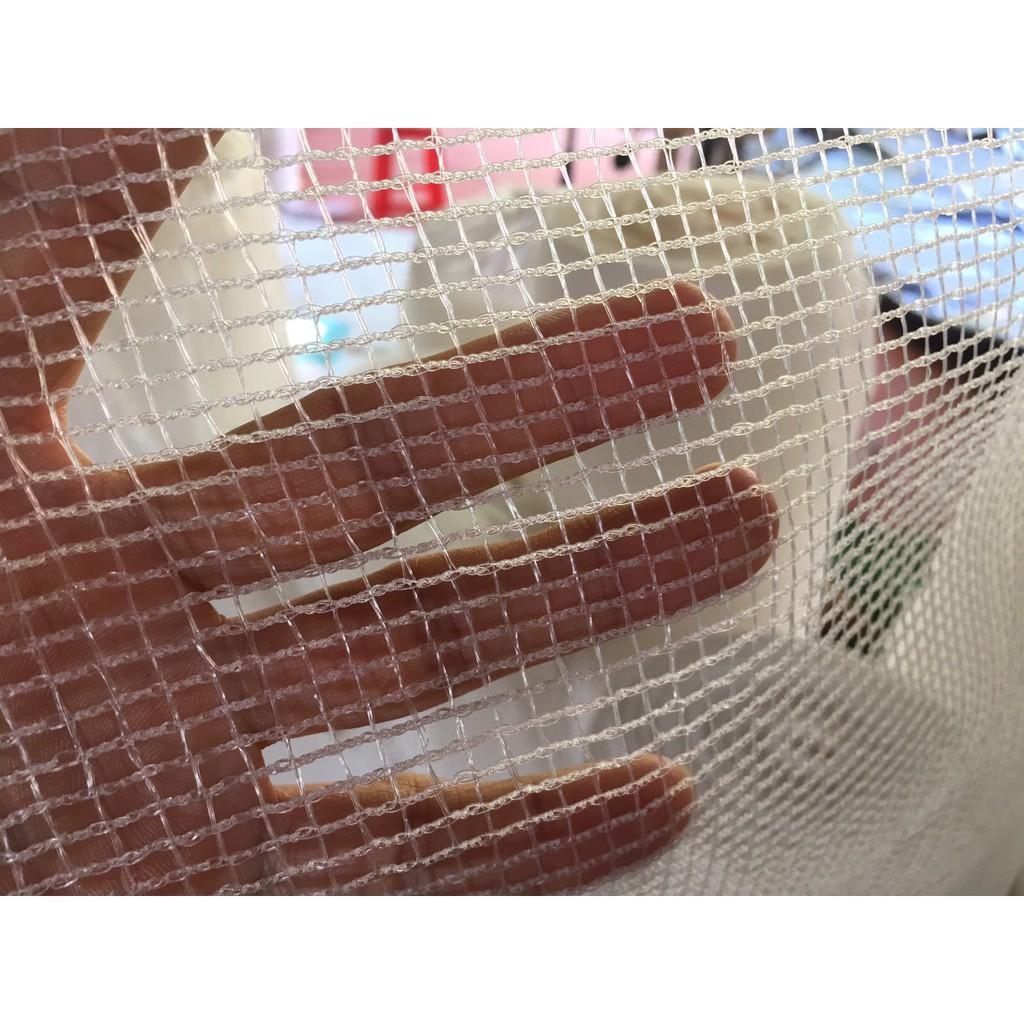 Tráng nuôi ốc nhồi, ốc bươu đen chuyên nghiệp 4m x 2m x 1m