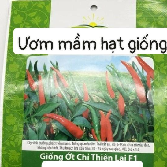 Hạt giống ớt chỉ thiên trái dài Rado 911 RD gói 0.1gr