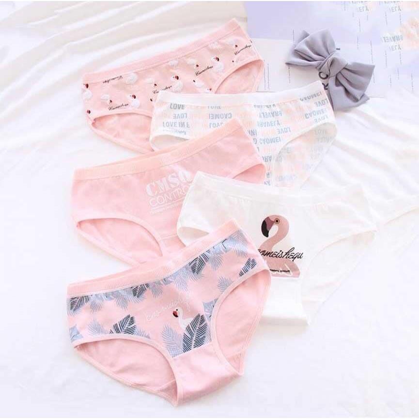 Combo 10 quần lót nữ tam giác cotton hình thiên nga