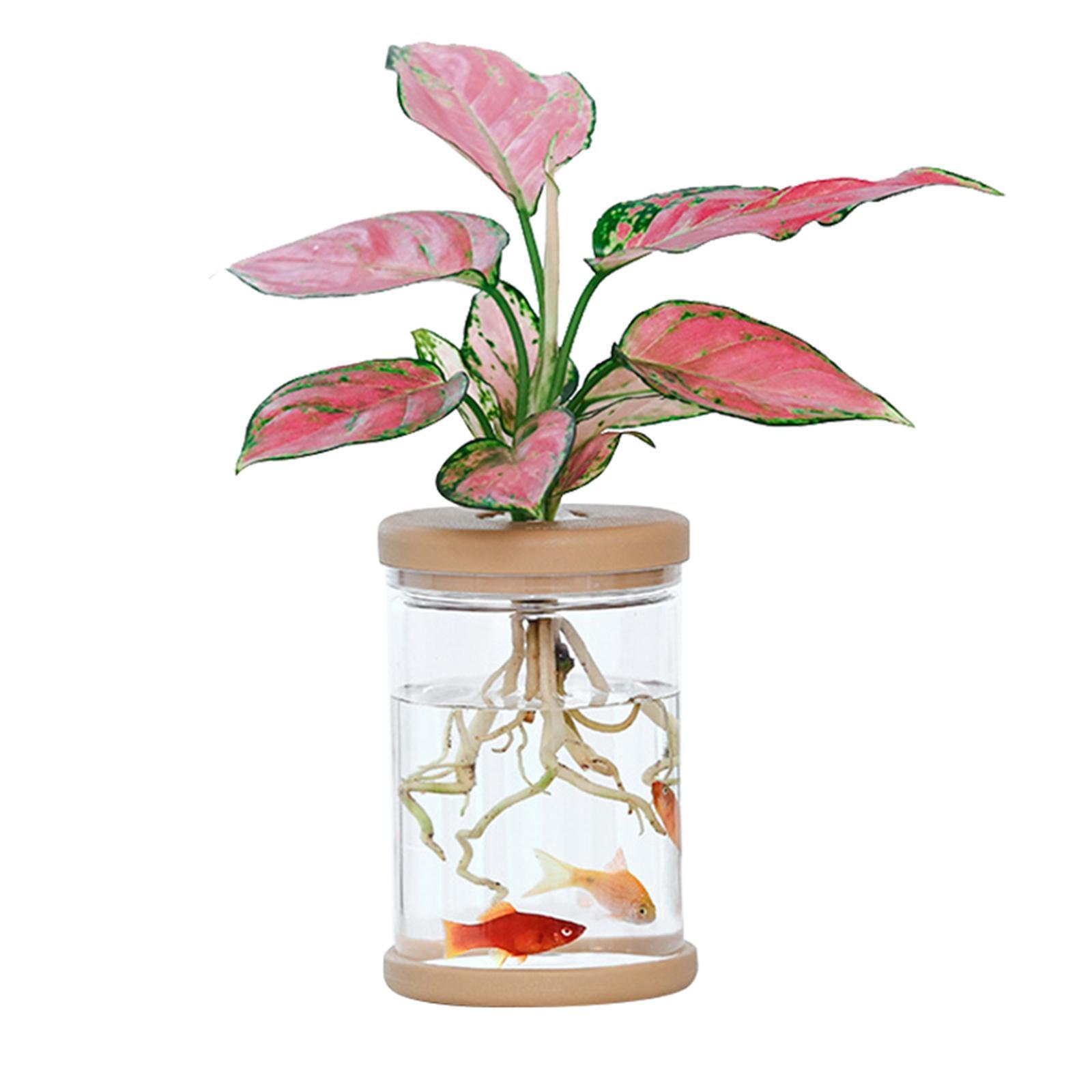 Tabletop   bookshelf ornament gift 9cmx12.8cm