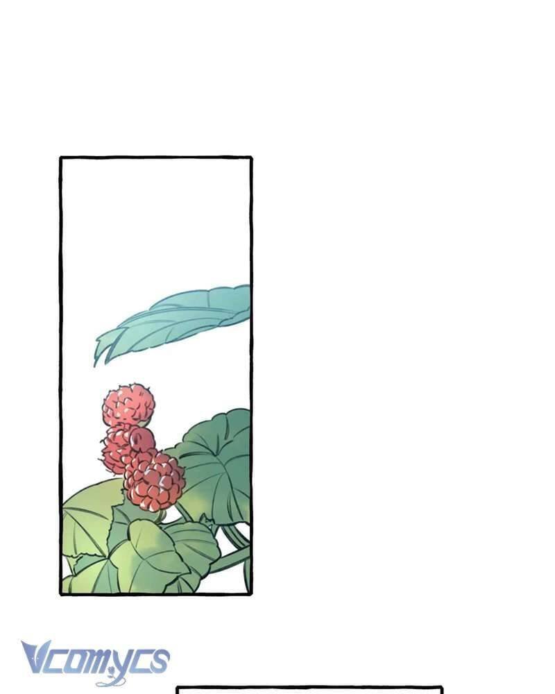 chuyện tình hoa lưu ly chapter 3 47