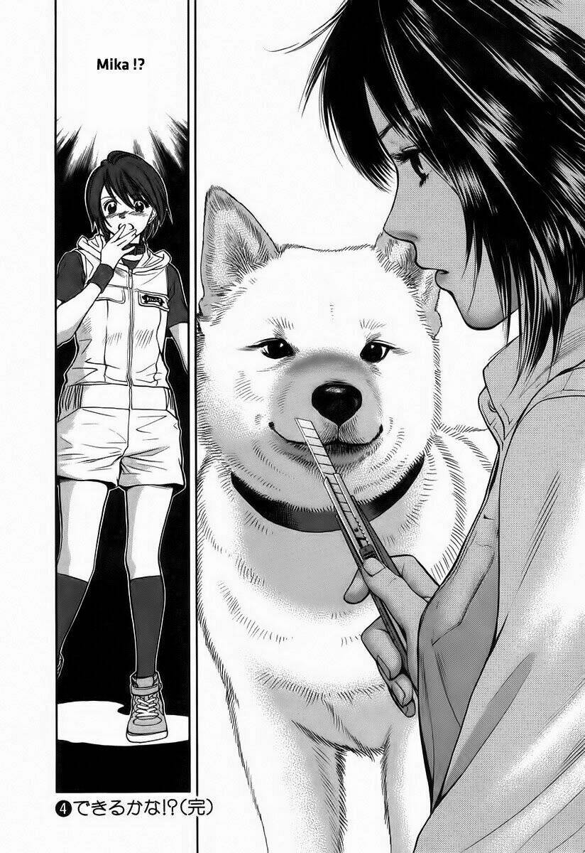 cô nàng yêu chó chapter 41 18