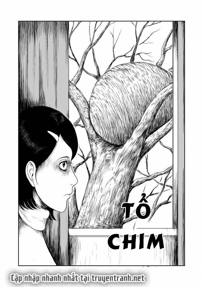 mảnh vỡ ác mộng chapter 1 1