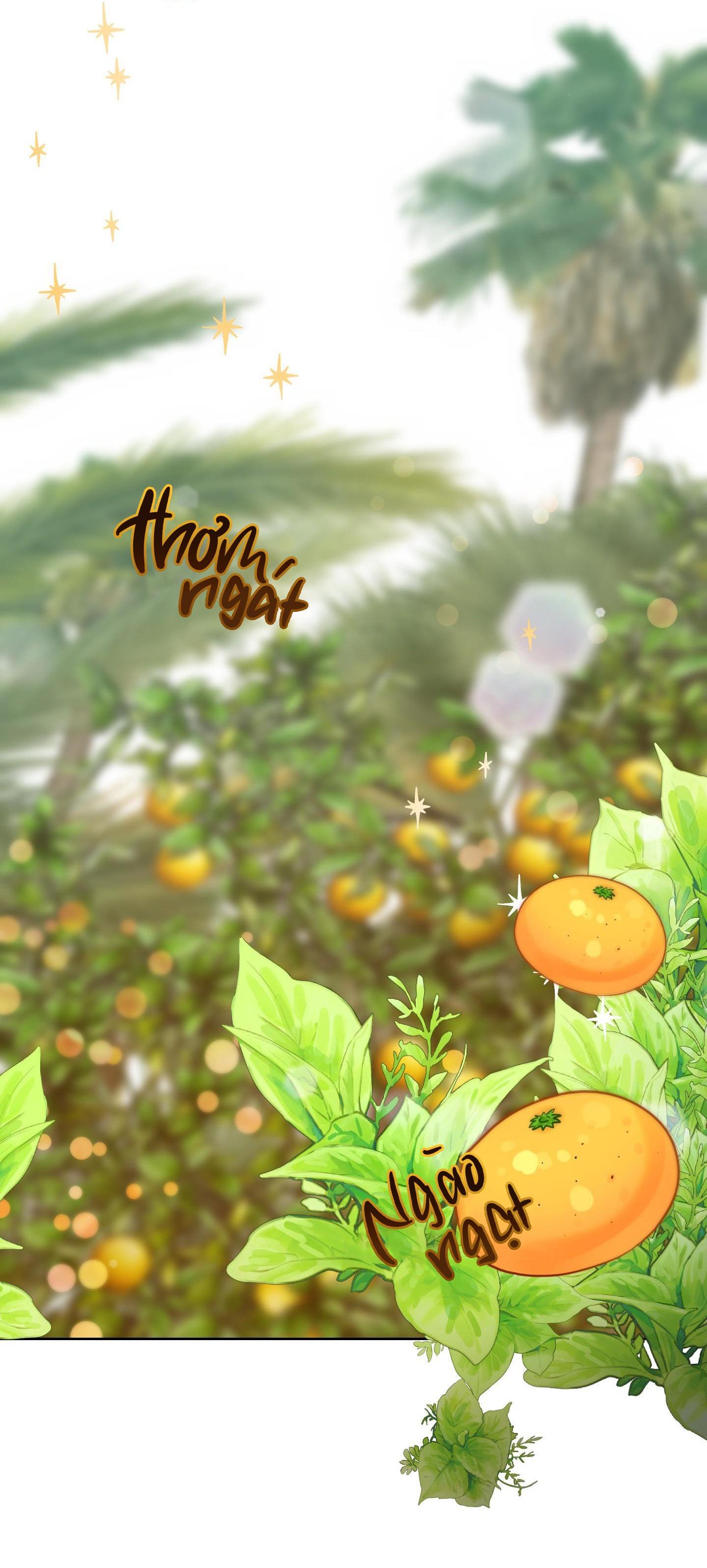 chú thỏ chỉ cần 3 giây là xuất tinh chapter 1 13