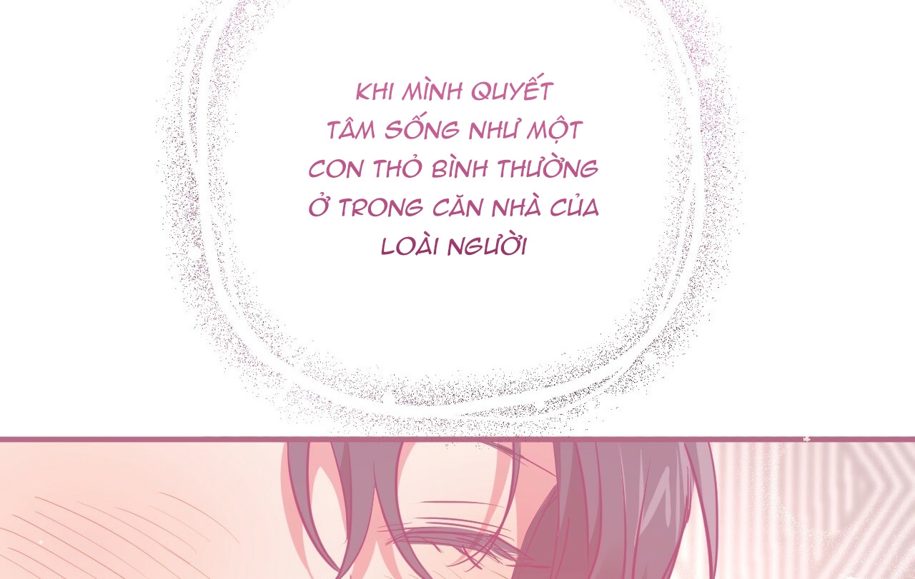 đàn thỏ của habibi chapter 18 116