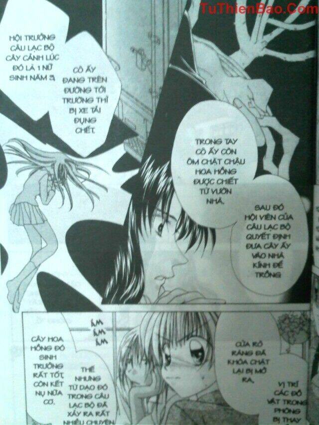 nguyện ước dưới ánh sao chapter 8 3