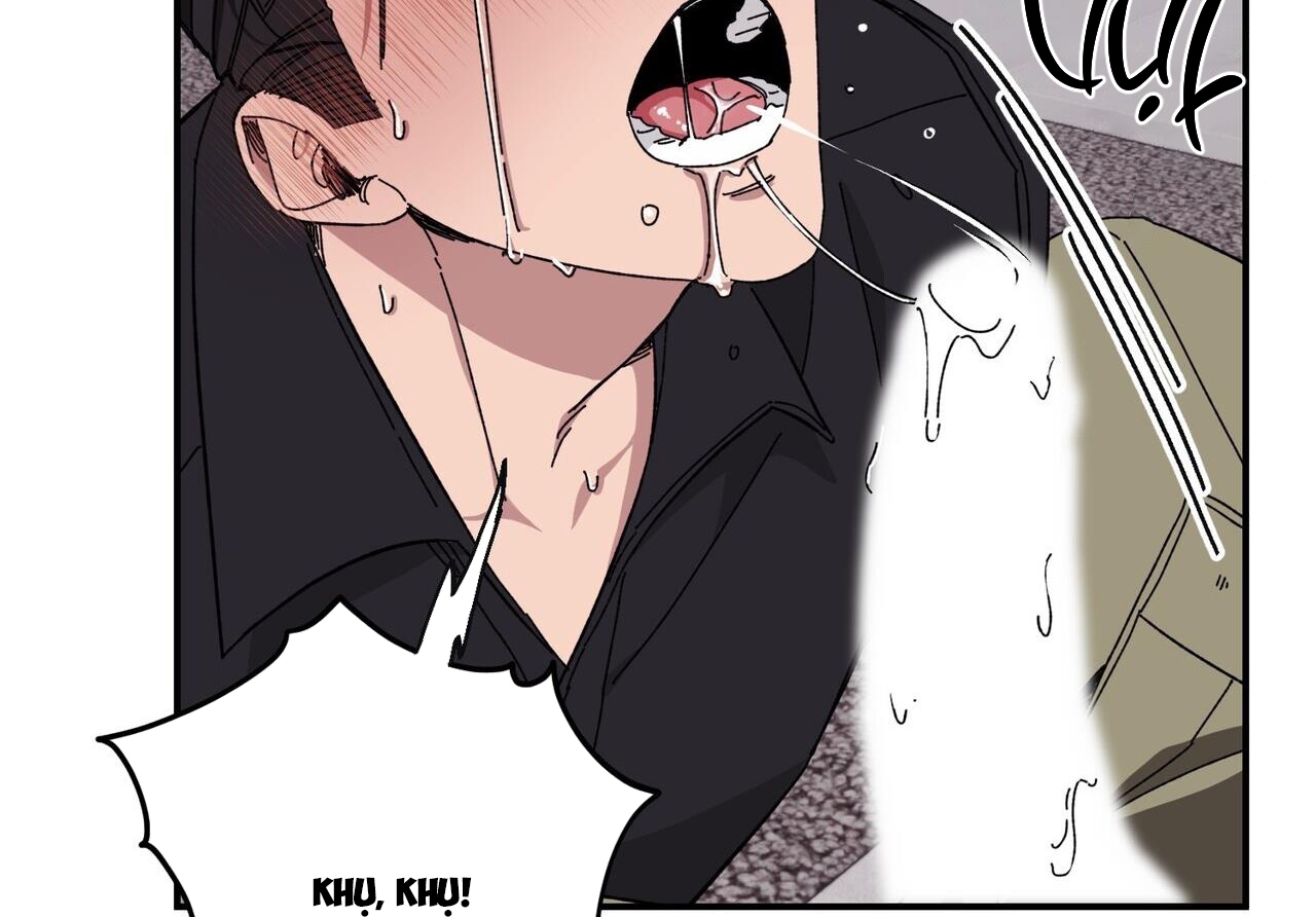 chàng dâu nhà họ kang chapter 34 89