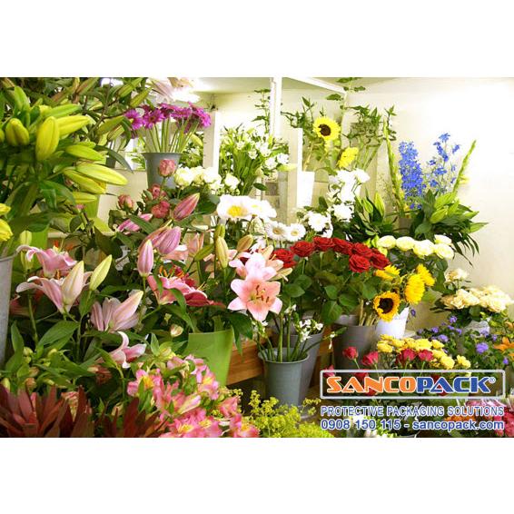SET 10 Gói Dưỡng Chất Cho Hoa Lâu Tàn KIF FLORA FRESH