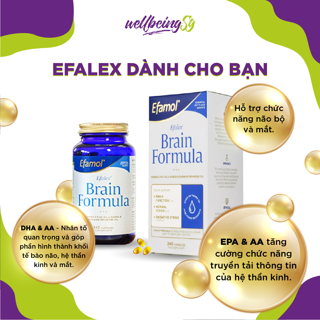 Viên Uống Bổ Sung Dầu Cá DHA, EPA, Efamol Efalex Tăng Cường Trí Nhớ, Hỗ Trợ Trí Não, Tim Mạch, Thị Lực (240 Viên Nang) 