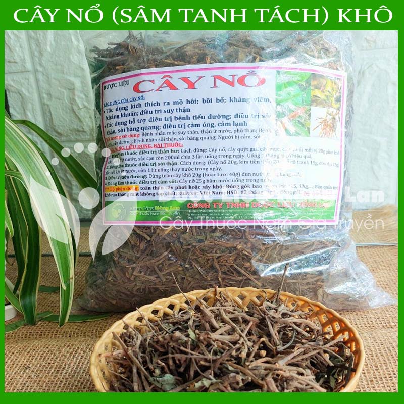 Cây Nổ khô sạch 500gram