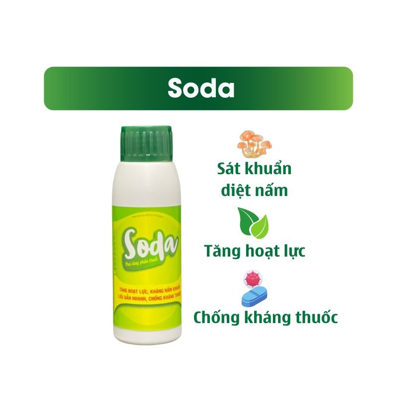 Nano Sinh Học AT Tăng Thẩm Thấu, Lưu Dẫn, Bám Dính, Chống Kháng Thuốc Cho Rau Sạch Và Cây Ăn Quả - Soda 100ml