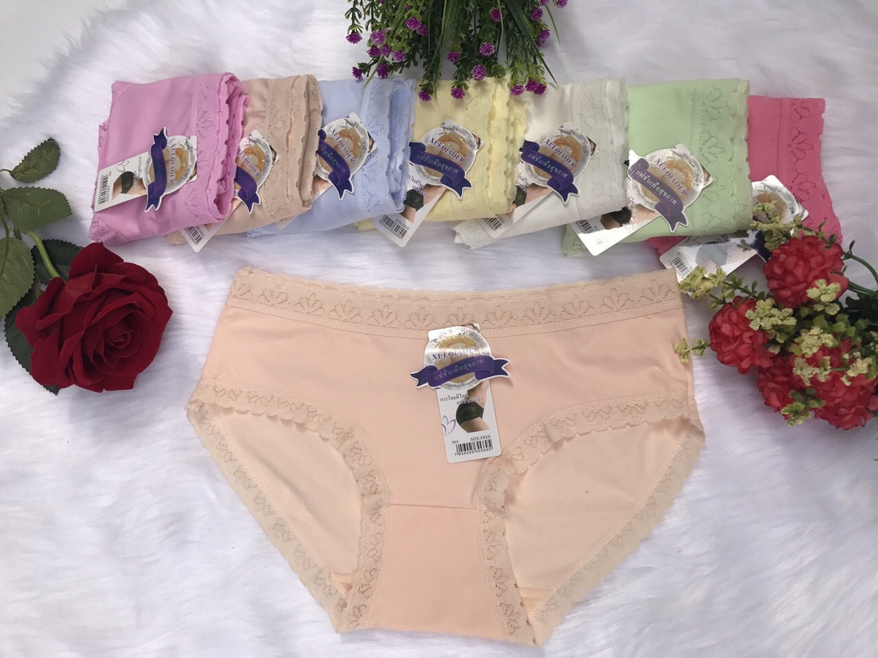 Combo 5 quần lót nữ cotton nhiều màu mã 819