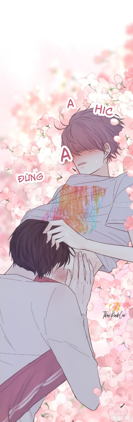 mối tình đầu gian nan của chu thành nhất chapter 42 37