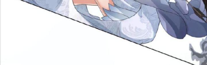 lấy thiên hạ làm sính lễ: vương phi lại trêu ta chapter 1 28