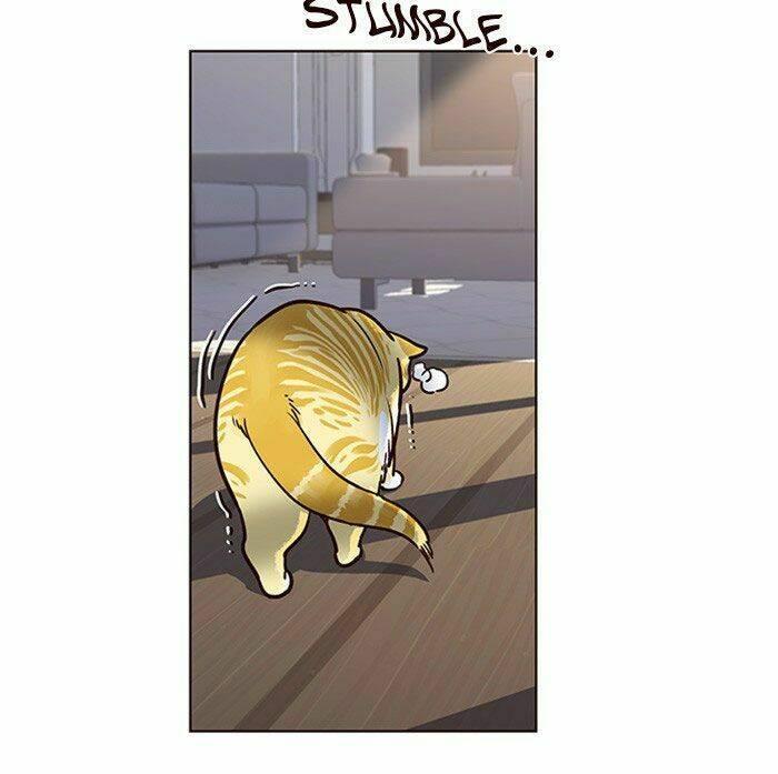 biến thân thành mèo chapter 11 44