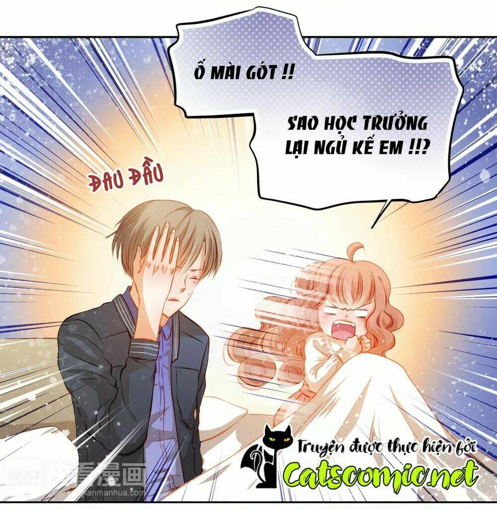 sự cám dỗ xấu xa chapter 36 4