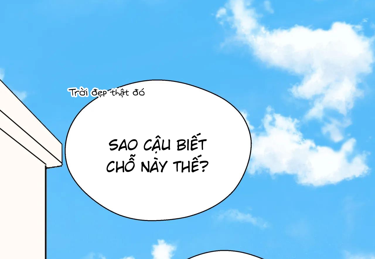 ám ảnh pheromone chapter 41 2