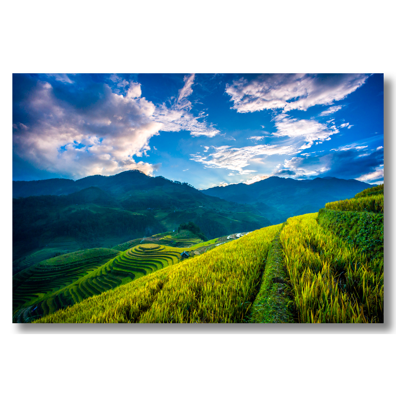 Tranh treo tường phong cảnh VIỆT NAM - In phun UV trên vải CANVAS bền màu bọc khung gỗ sang trọng.﻿