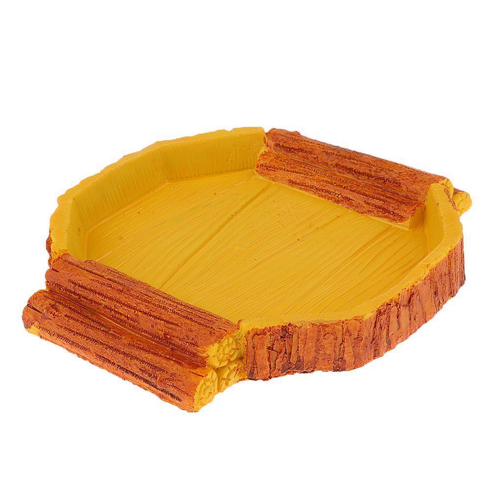 2Pcs Reptile Food Feed Dish Water Bowl for Tortoise Spider