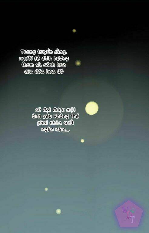 một ngàn cánh hoa chapter 0 7