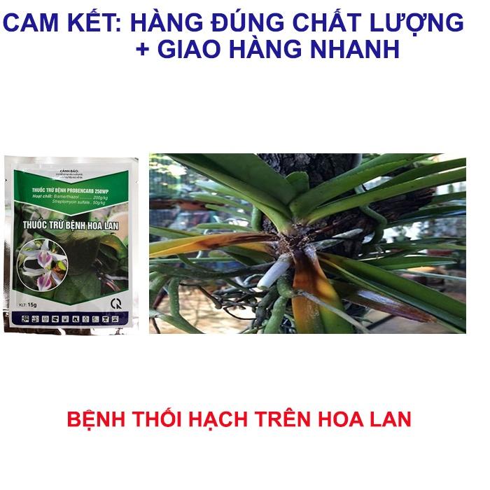 Chế phẩm trừ nấm bệnh hoa lan 15g, trừ bệnh thối nhũn, đốm lá, đen thân, đốm nâu trên hoa lan