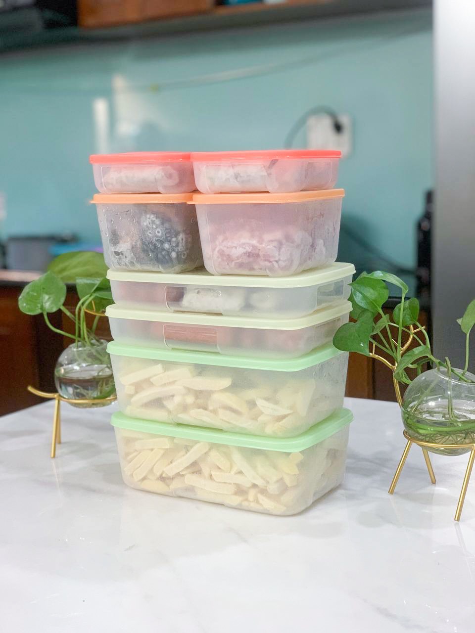 Bộ Trữ Đông Tupperware Freezermate Colorful Set 8 - Tupperware hàng chính hãng