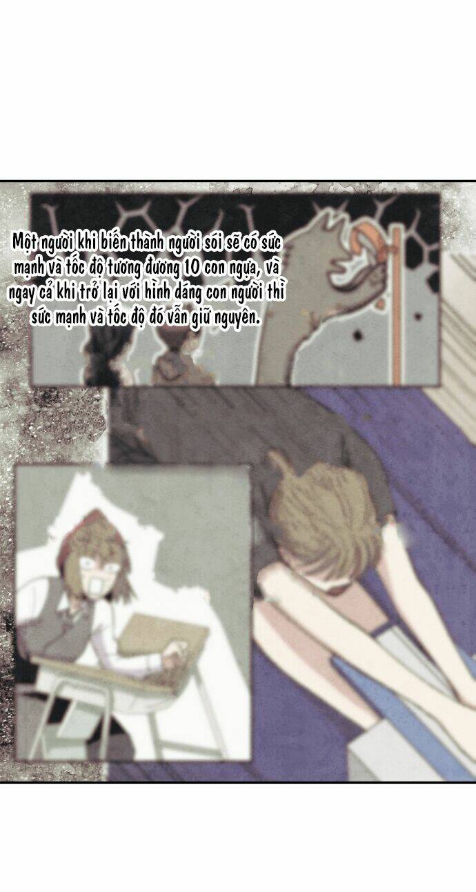 tai sói và mũ đỏ chapter 34 27