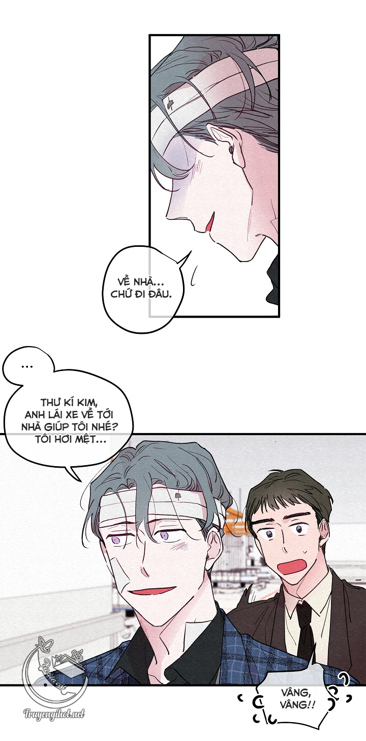 [bl19+] hoa không nở chapter 3 16