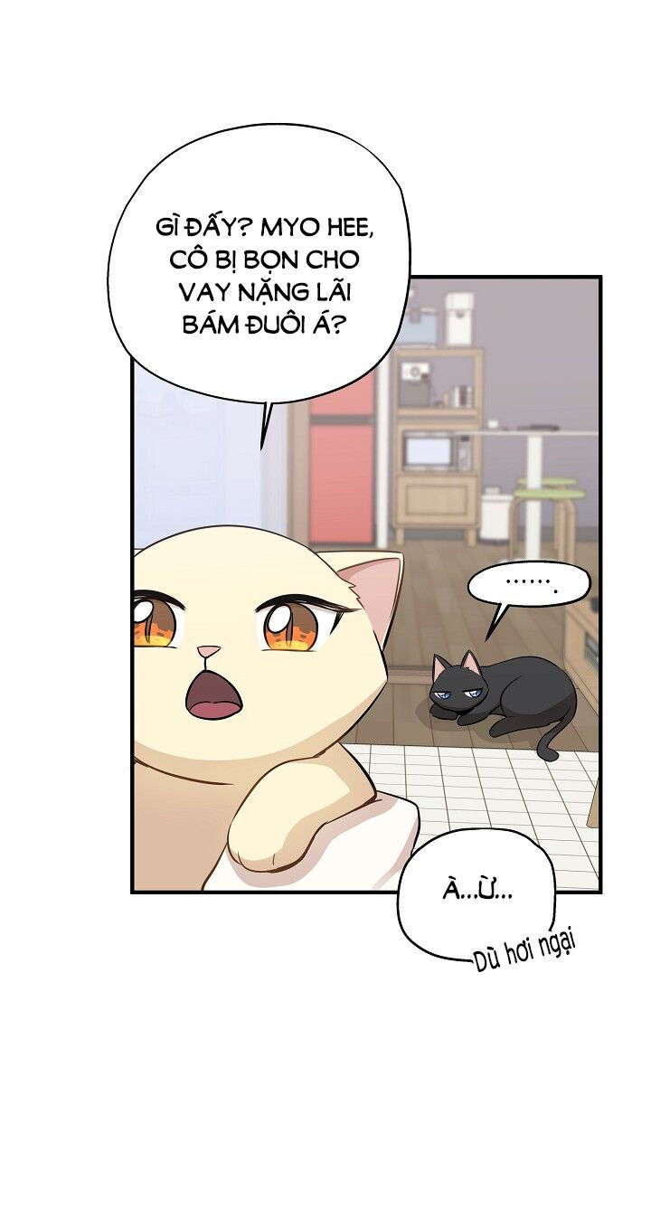 cuộc sống kỳ thú chapter 60 5