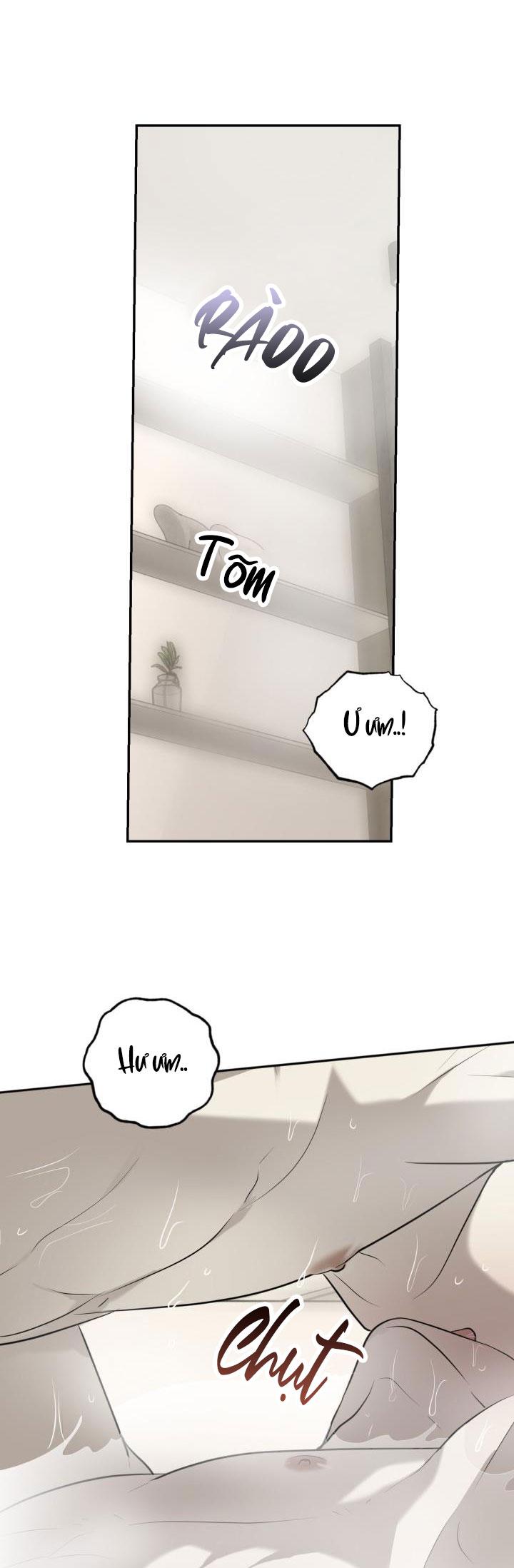 dưỡng thú cưng chapter 33 34