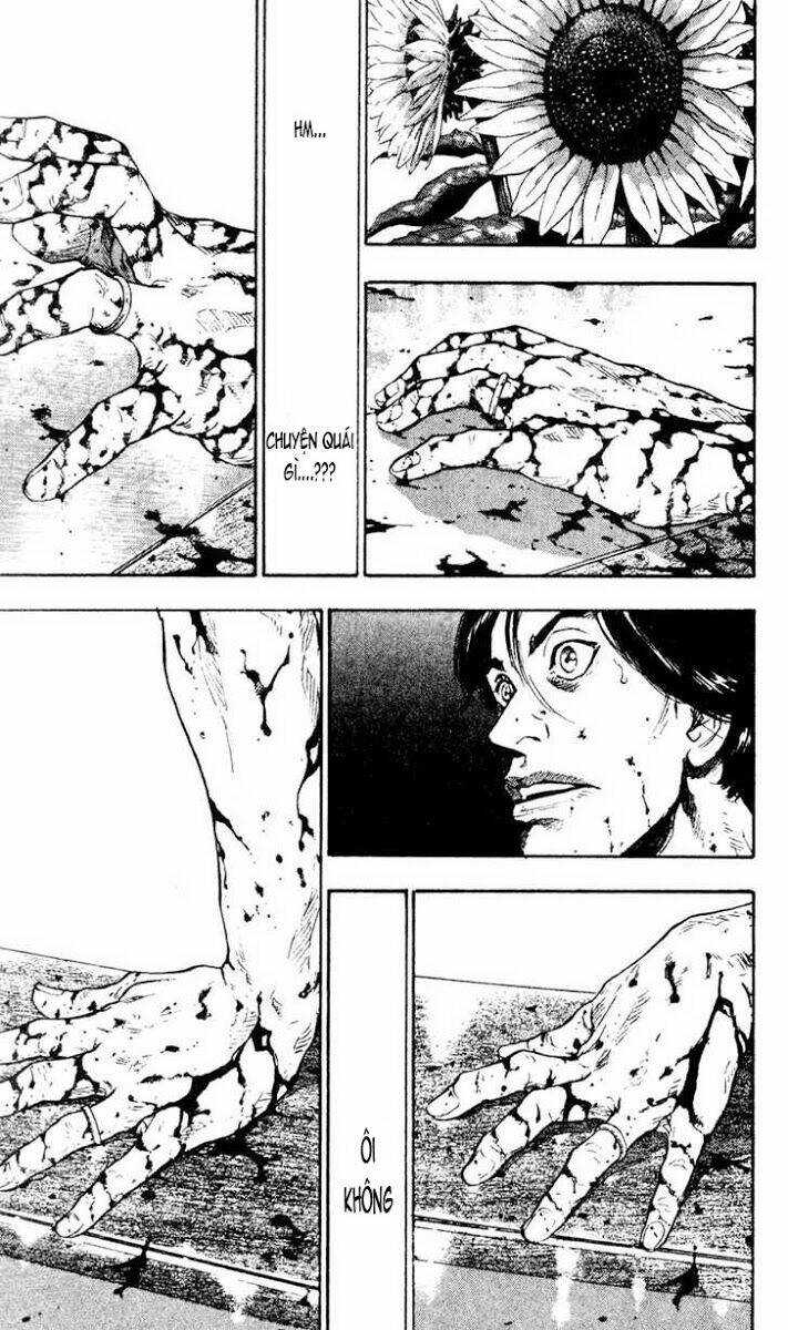 shamo (võ đạo) chapter 31 8