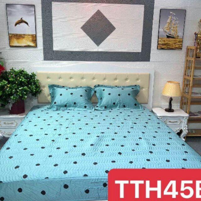 Bộ ga chun trần kèm 2 vỏ gối loại 1
