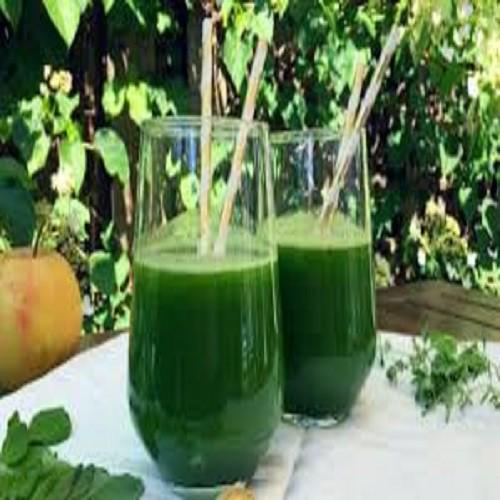 CÂY RAU DIẾP CÁ, CÂY RAU DIẾP CÁ - BẦU CÂY GIỐNG NHIỀU THÂN