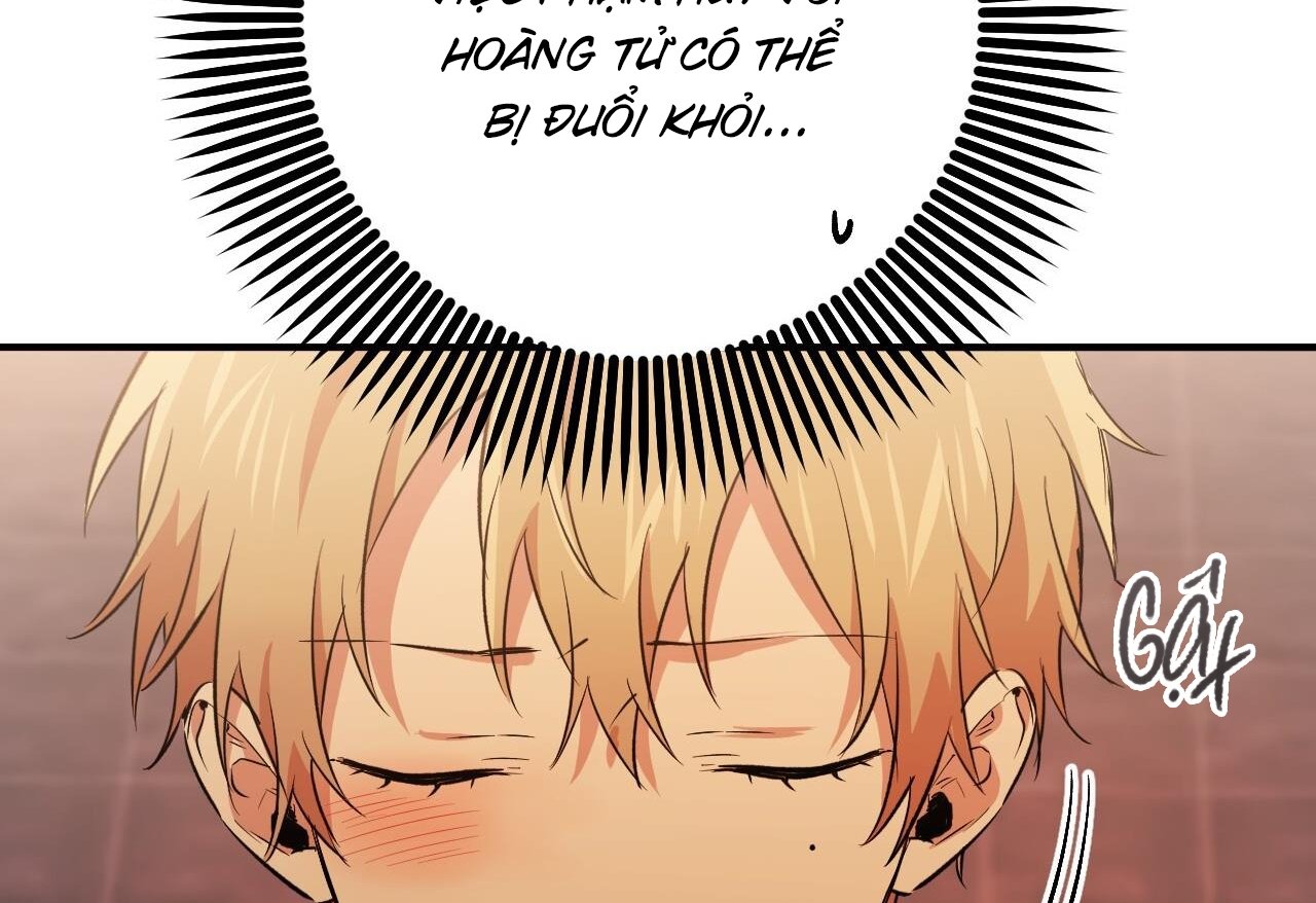 những chú thỏ của hapypy chapter 62 105