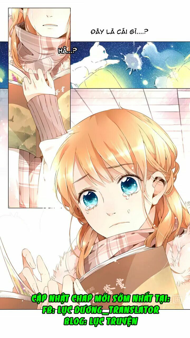 Tình yêu là màu hoa anh thảo chapter 16.3 23