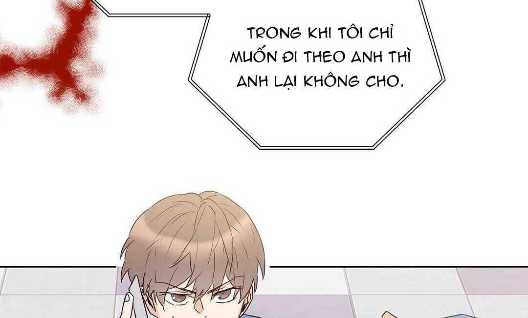 guide cấp b chapter 37 4