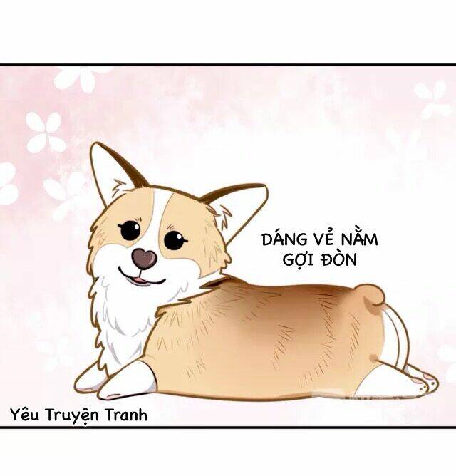 tình yêu trên cùng một dòng chapter 3.1 18