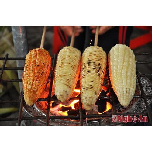 Hạt Giống Bắp Nếp Nù Siêu Dẻo CT58 - Gói 100gram