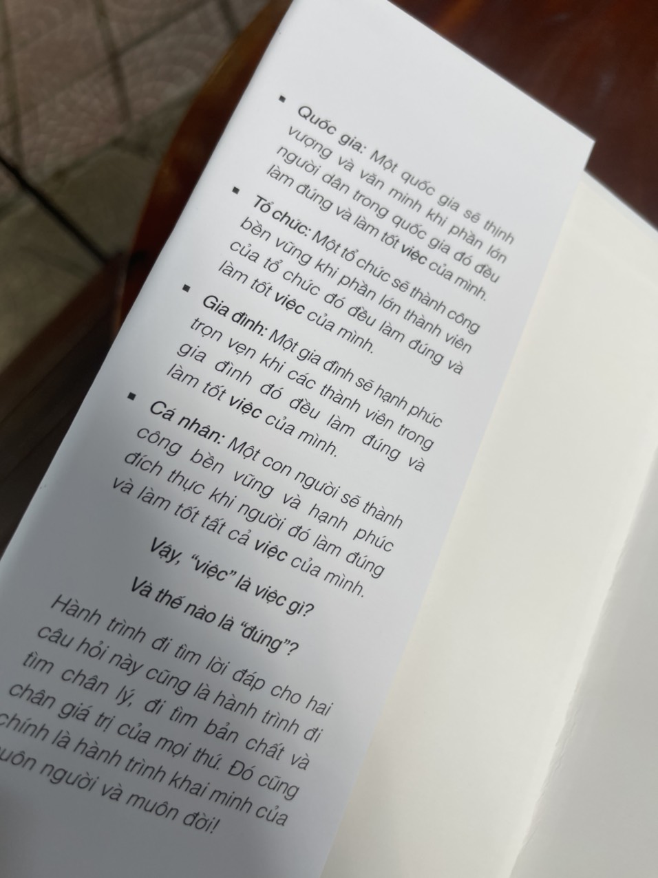 [Bìa cứng] ĐÚNG VIỆC – Một góc nhìn về câu chuyện khai minh – Giản Tư Trung –– Viện IRED – NXB Tổng Hợp Thành phố Hồ Chí Minh