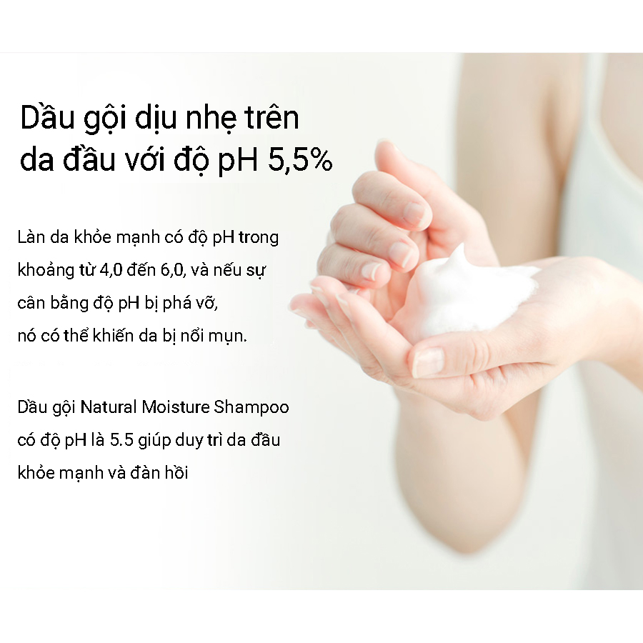 Dầu gội dầu chăm sóc tóc Cau lab Natural Moisture Shampoo