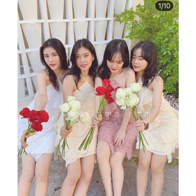 Váy Đầm cổ yếm lông vũ bèo tầng