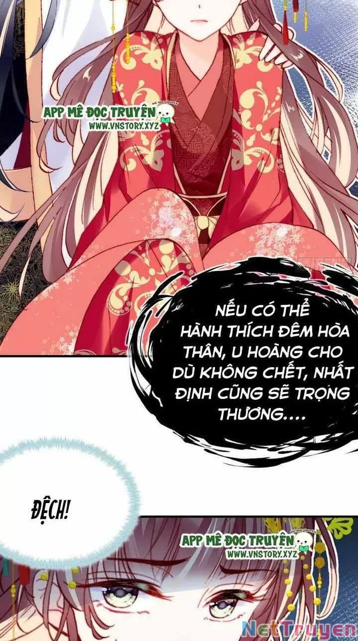 lại bị bệnh chiều chuộng quấn lấy chapter 4 8