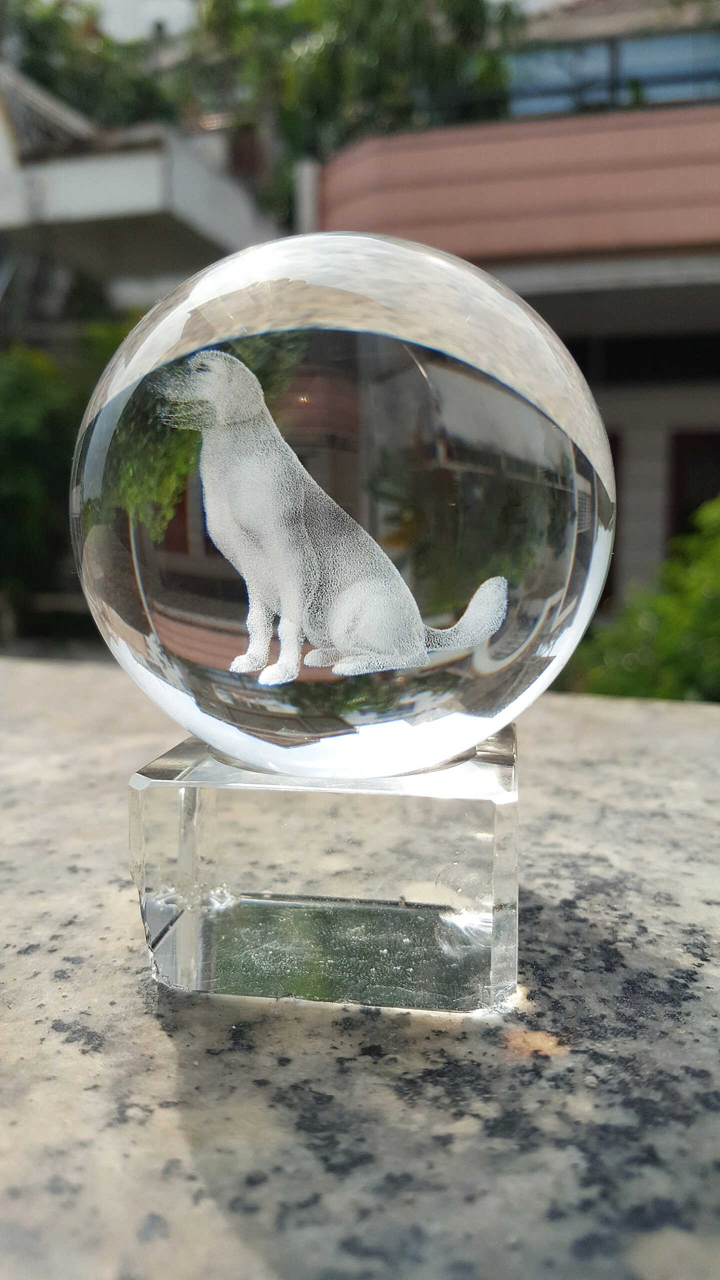 Hình ảnh Quả pha lê 3D con chó tuổi Tuất quà tặng đế pha lê độc đáo