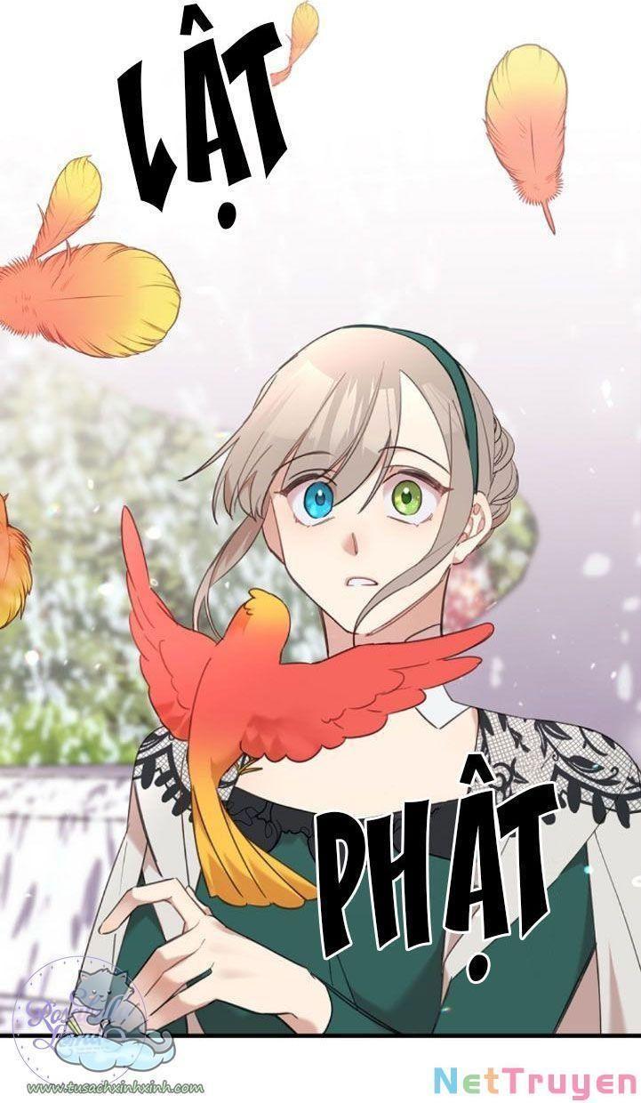 xin hãy cứ khóc, thái tử chapter 9 52