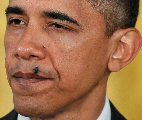 hình ảnh hài hước new chapter 1 3