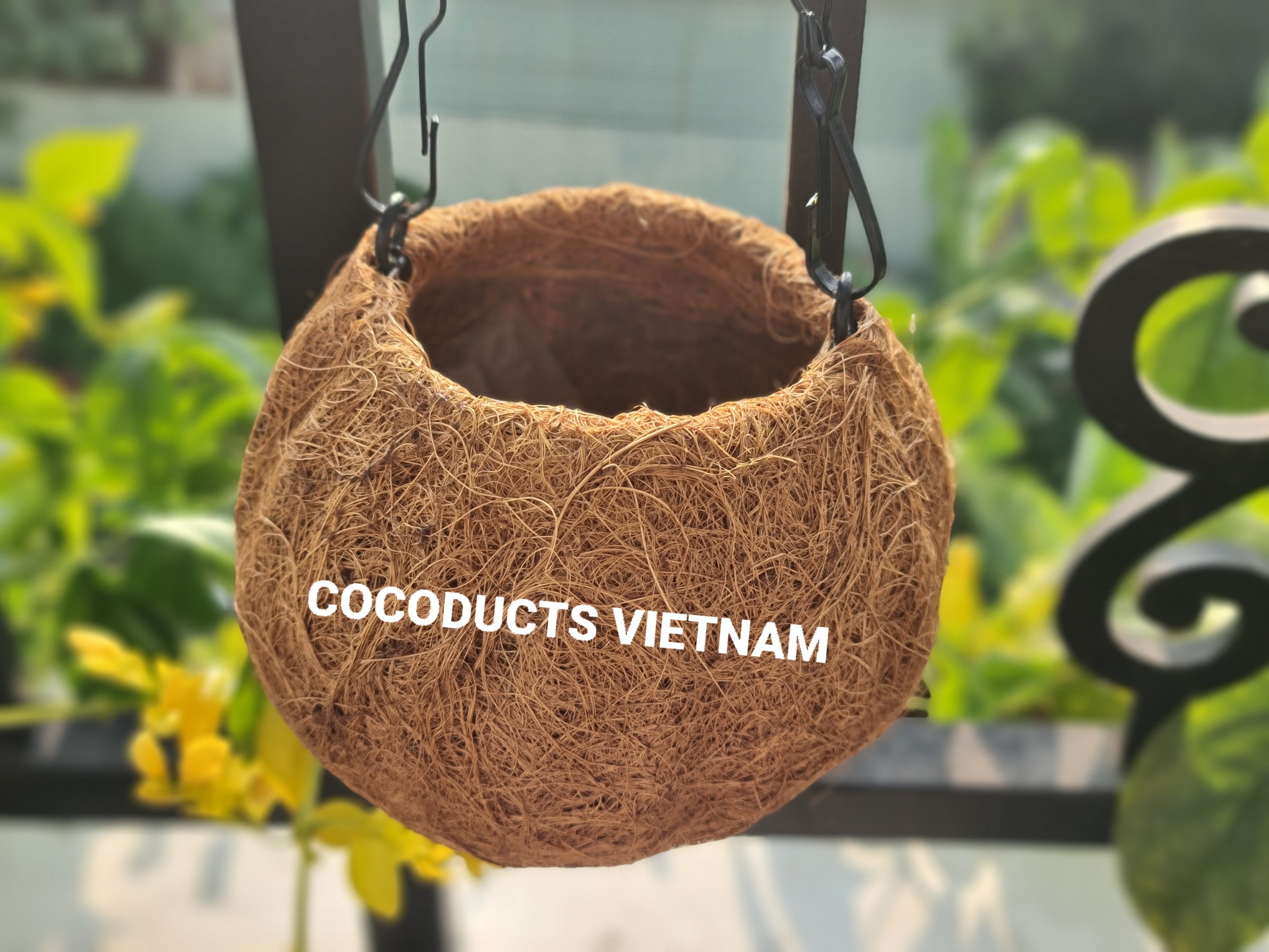 Quả cầu xơ dừa Cocodema