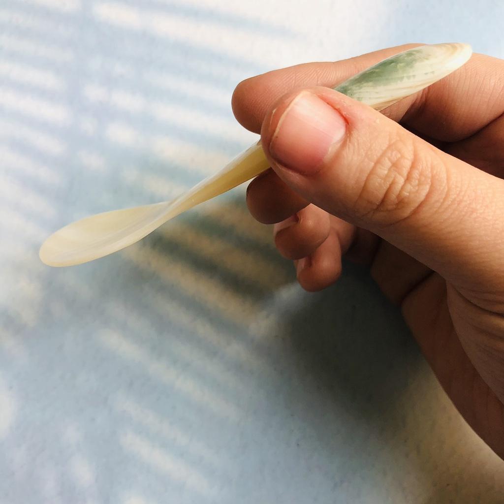 Thìa Trai Trắng Tự Nhiên 10cm, Thìa Xúc Trứng Cá Muối, Trứng Cua, Phụ Kiện Nhà Bếp Chụp Ảnh Decor
